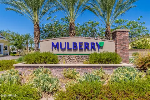 Other - 10658 E Meseto Ave, Mesa, AZ 85209 photo 10 of 11