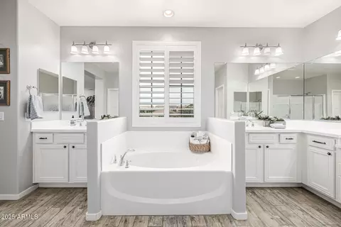 Bath - 10658 E Meseto Ave, Mesa, AZ 85209 photo 3 of 7