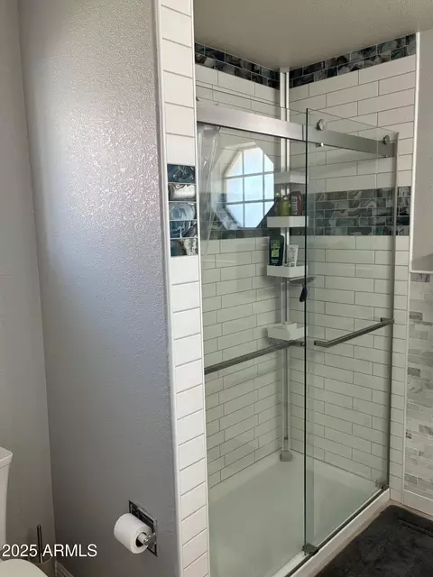 Bath - 11532 E Lakeview Ave, Mesa, AZ 85209 photo 5 of 6