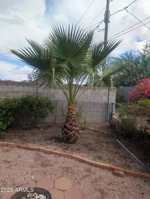 Exterior - 1161 S Grand Dr, Apache Junction, AZ 85120 photo 1 of 2
