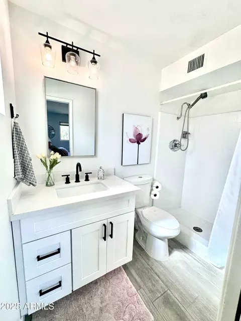 Bath - 5527 E Dallas St, Mesa, AZ 85205 photo 1 of 3