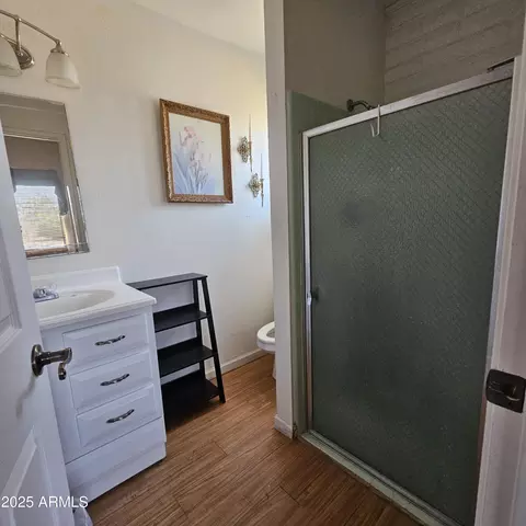 Bath - 1215 E Justin St, Pearce, AZ 85625 photo 3 of 3