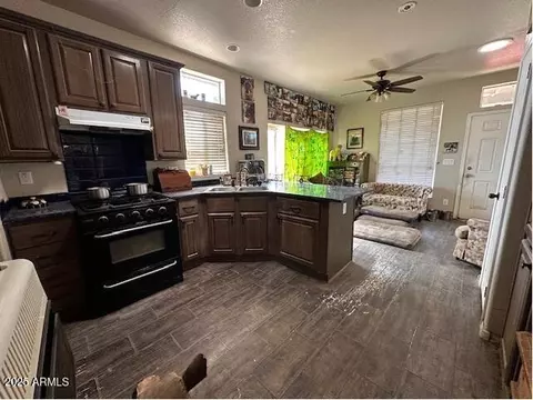 1098 E Horseshoe Springs Rd, Globe, AZ 85501 photo 2
