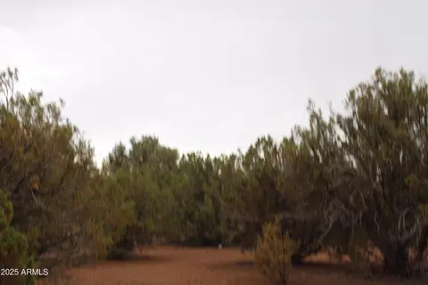 Sec 8 T11n, R22e: Port Of Parcel 3 -- #'_', White Mountain Lake, AZ 85912
