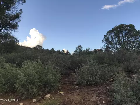 00000 W Buckhorn - V Dr #-, Peeples Valley, AZ 86332