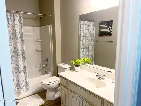 Bath - 7437 E Onza Ave, Mesa, AZ 85212 photo 1 of 4