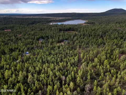 --- N --- Drive #-, Lakeside, AZ 85929
