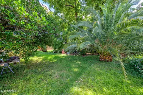4222 E Vernon Ave, Phoenix, AZ 85008 photo 16