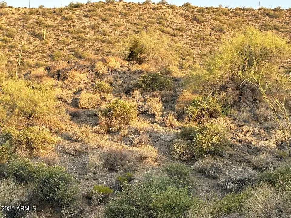  9312 E Brahma Rd #12, Scottsdale, AZ 85262 photo 15