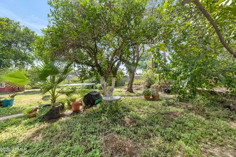 Exterior - 5301 E Mitchell Dr, Phoenix, AZ 85018 photo 8 of 11
