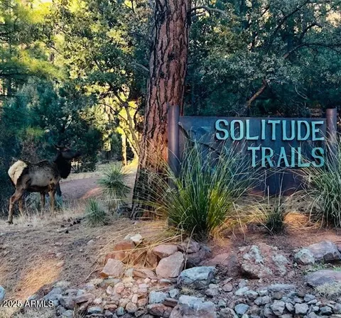 Other - 5579 W Solitude Trails Loop, Pine, AZ 85544 photo 15 of 18