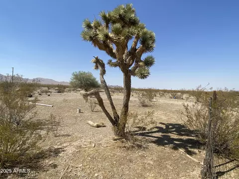 NNNNN N Phillip (lot 353) Road #353, Dolan Springs, AZ 86441