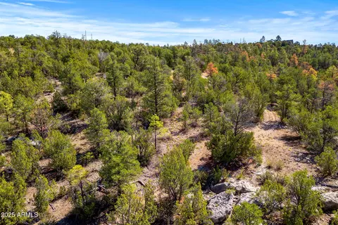 3656 Zane Grey Trl #60, Overgaard, AZ 85933