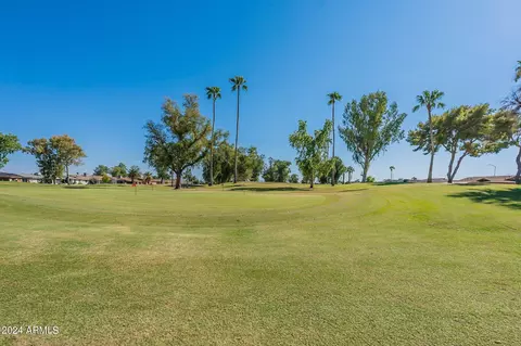 4622 E Flower Ave, Mesa, AZ 85206 photo 45