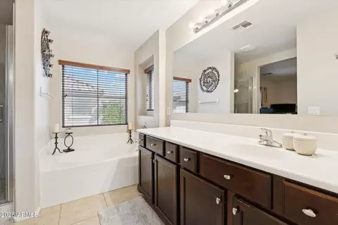 Bath - 1692 Elgin St, Gilbert, AZ 85295 photo 2 of 5