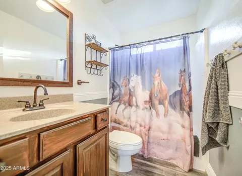 Bath - 21503 E North Ct, Queen Creek, AZ 85142 photo 3 of 14