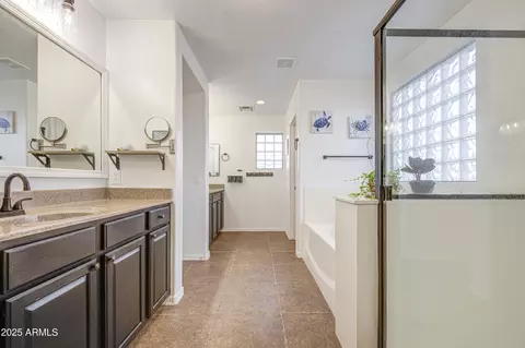 Bath - 21503 E North Ct, Queen Creek, AZ 85142 photo 13 of 14