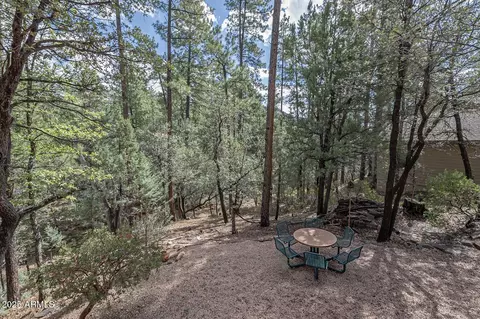 4501 N Meadow Way, Pine, AZ 85544 photo 24