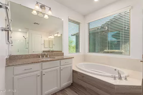 Bath - 3710 E Matthew Dr, Phoenix, AZ 85050 photo 2 of 4