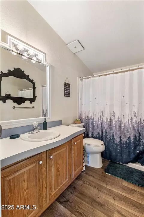 1926 E Junction St, Apache Junction, AZ 85119 photo 29