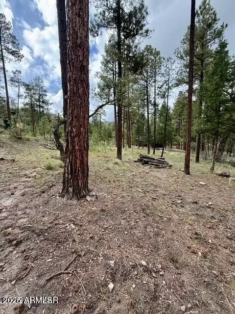 7 Eric Ln #28, Alpine, AZ 85920