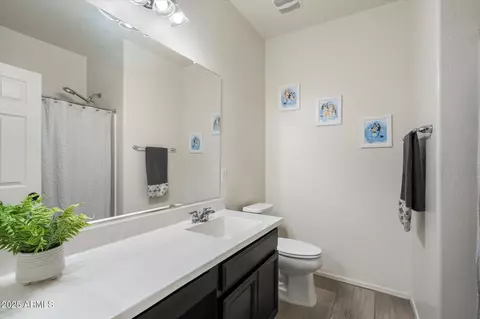 Bath - 7424 E Flower Ave, Mesa, AZ 85208 photo 3 of 3