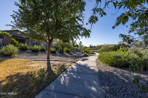 3927 E Blue Spruce Ln, Gilbert, AZ 85298 photo 27