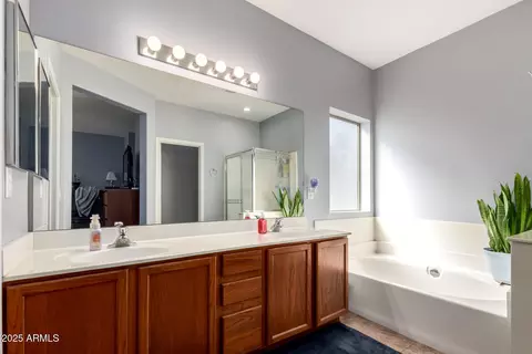 Bath - 2865 E Cathy Dr, Gilbert, AZ 85296 photo 1 of 2