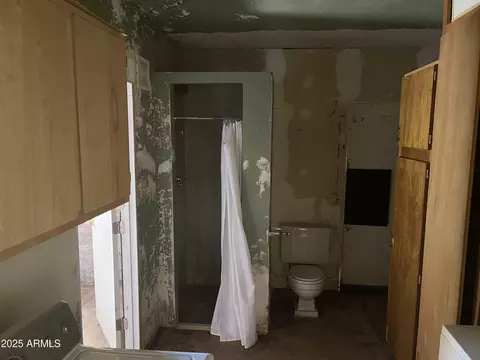 Bath - 3917 E Weldon Ave, Phoenix, AZ 85018 photo 3 of 4