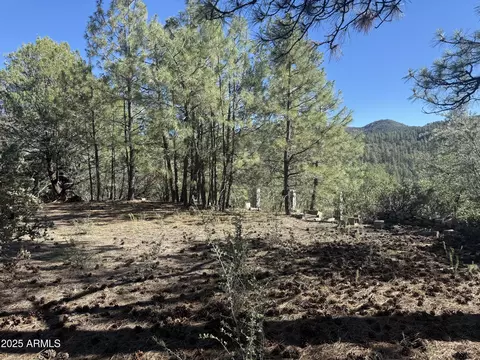 6536 E 90 And 9 Rd #-, Crown King, AZ 86343