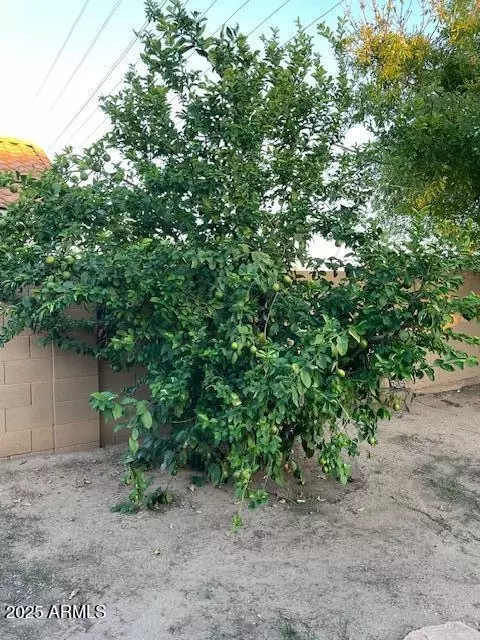 Other - 1937 E Renee Dr, Phoenix, AZ 85024 photo 13 of 14