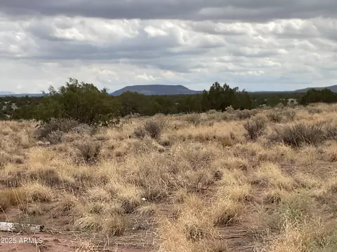 lot4 Ranch Of The White Mtns #4, Concho, AZ 85924