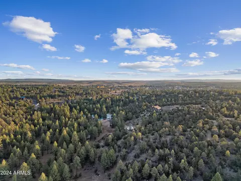 View/Area - 2262 Meadow Trl, Overgaard, AZ 85933 photo 7 of 12