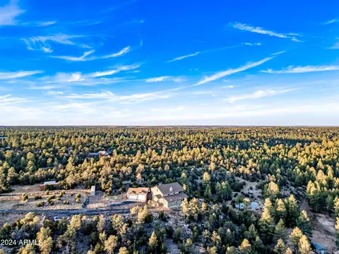 View/Area - 2262 Meadow Trl, Overgaard, AZ 85933 photo 5 of 12