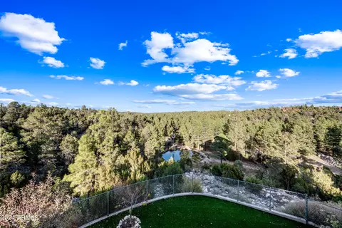 View/Area - 2262 Meadow Trl, Overgaard, AZ 85933 photo 10 of 12