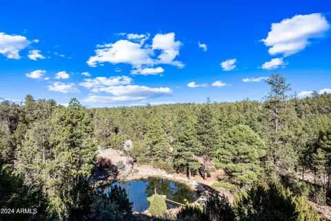 View/Area - 2262 Meadow Trl, Overgaard, AZ 85933 photo 3 of 12