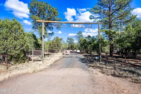 Other - 2262 Meadow Trl, Overgaard, AZ 85933 photo 3 of 18