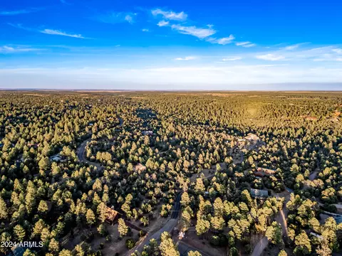 View/Area - 2262 Meadow Trl, Overgaard, AZ 85933 photo 6 of 12