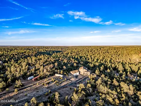 View/Area - 2262 Meadow Trl, Overgaard, AZ 85933 photo 11 of 12
