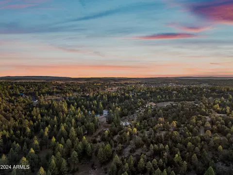 View/Area - 2262 Meadow Trl, Overgaard, AZ 85933 photo 4 of 12