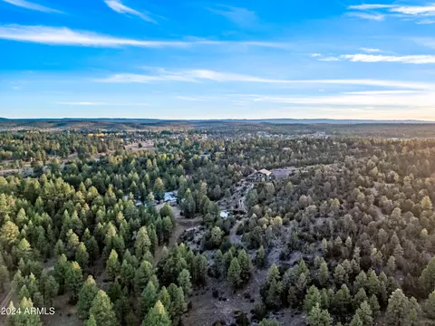View/Area - 2262 Meadow Trl, Overgaard, AZ 85933 photo 8 of 12