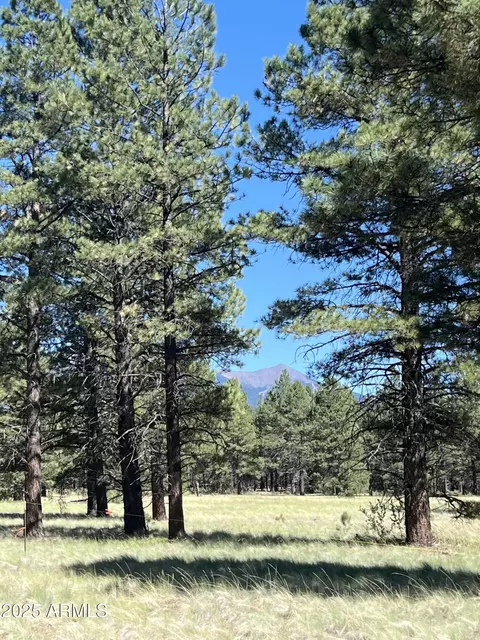 0 Forest Road 193 -- #0, Flagstaff, AZ 86001