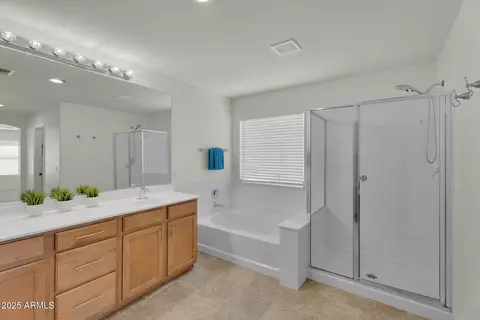 Bath - 2975 E Andre Ave, Gilbert, AZ 85298 photo 4 of 7