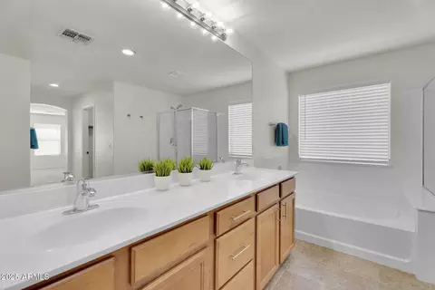 Bath - 2975 E Andre Ave, Gilbert, AZ 85298 photo 5 of 7
