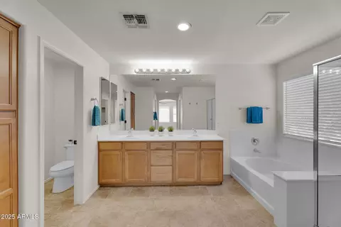Bath - 2975 E Andre Ave, Gilbert, AZ 85298 photo 3 of 7