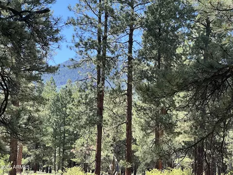 0 Forest Road 193 St #0, Flagstaff, AZ 86001