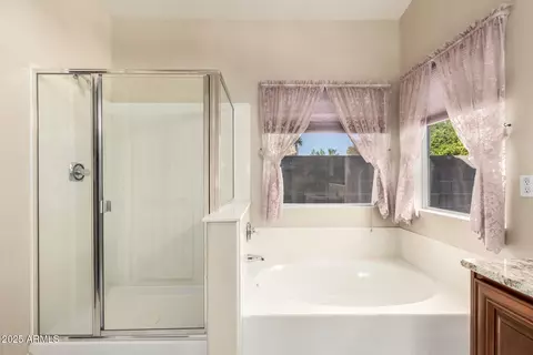 Bath - 852 W Rawhide Ave, Gilbert, AZ 85233 photo 2 of 5