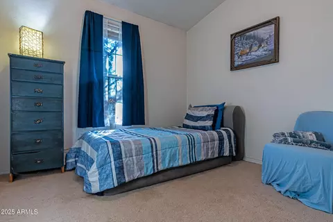 2179 Hackamore Dr, Overgaard, AZ 85933 photo 11