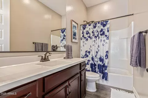 Bath - 1039 E Clifton Ave, Gilbert, AZ 85295 photo 3 of 4