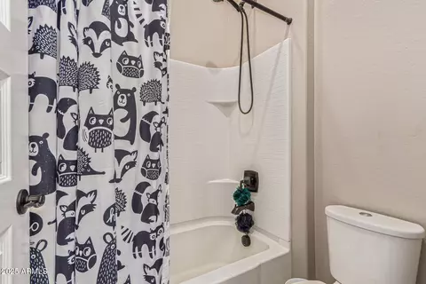 Bath - 1039 E Clifton Ave, Gilbert, AZ 85295 photo 4 of 4